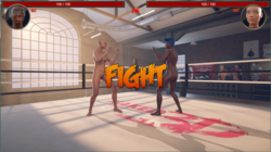 Naked Fighter 3D screenshot 2