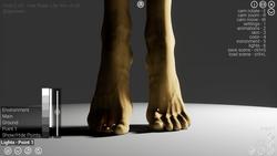 HAELE 3D - Feet Poser Pro [v0.56.2] [Ige Olwen] screenshot 19