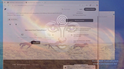 TranceParent [v0.3.1] [TranceParentDev] screenshot 6