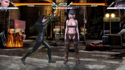 Ultimate Fighters 2 : Extreme screenshot 4