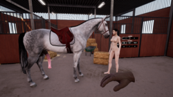 Stallion [v1.5] [VR Stallion] screenshot 4